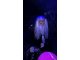 wp_20180516_10_10_38_pro_li