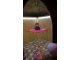 wp_20180516_10_20_04_pro_li