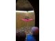 wp_20180516_10_21_34_pro_li