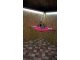 wp_20180516_10_23_46_pro_li