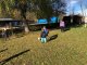 djkr4726